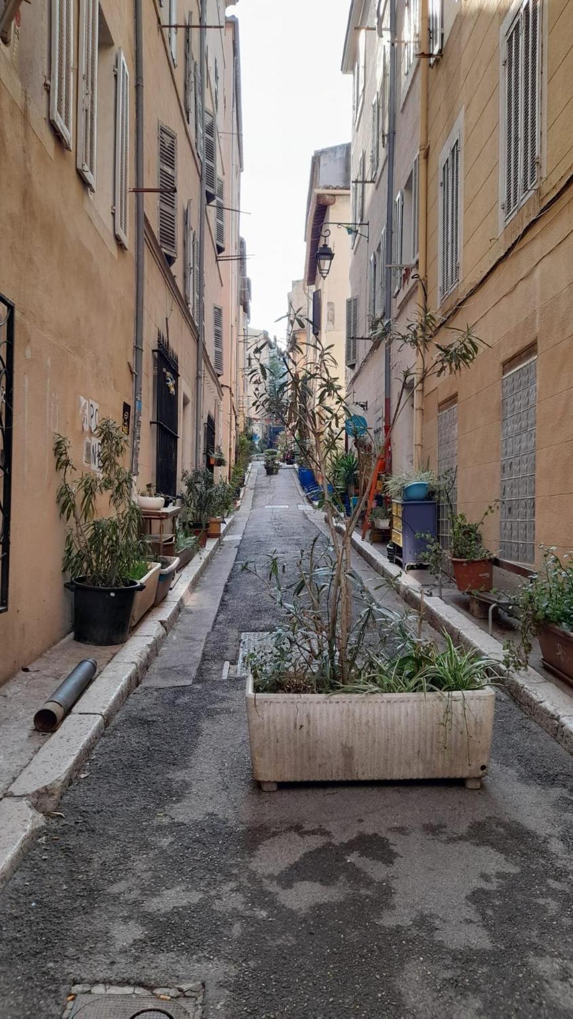 Le Cosy Leilighet Marseille Eksteriør bilde
